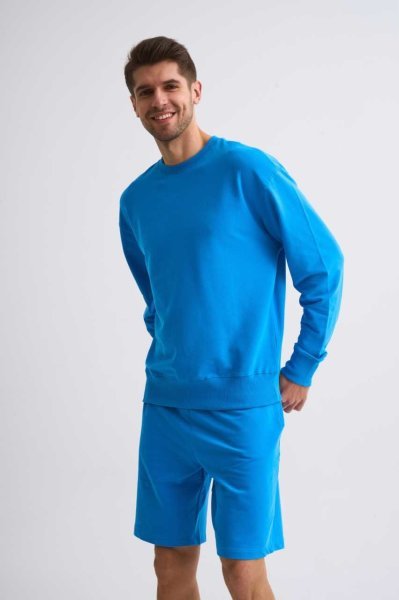 Organik Uzun Kollu Yuvarlak Yaka Erkek Sweatshirt - Mavi Mavi - M