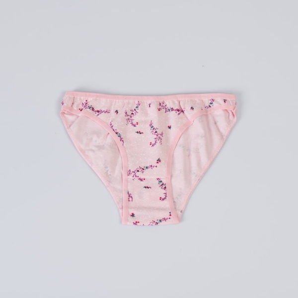CottonHill Bikini Külot 73 DESEN:513 STANDART BEDEN