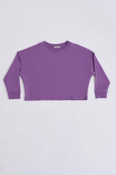 Organik Uzun Kollu Kadın Crop Sweatshirt - Mor Mor - M