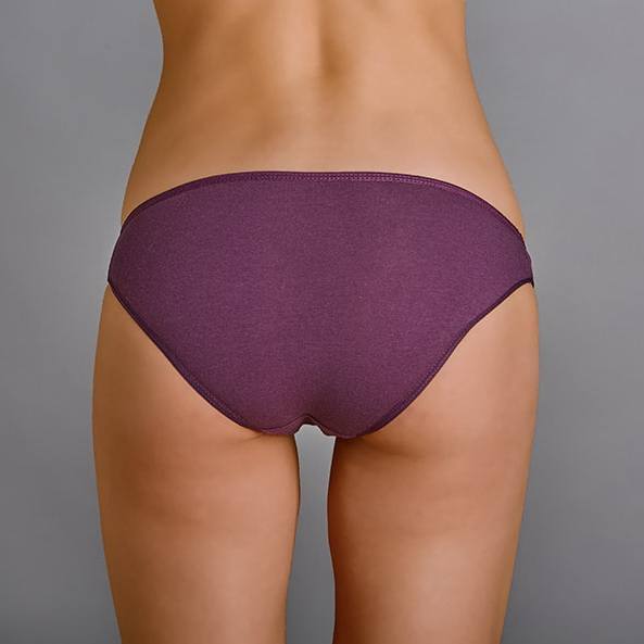 CottonHill Bikini Külot 849