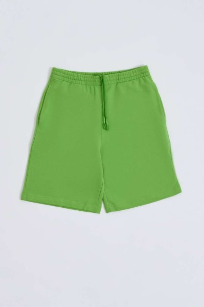 Organik Cepli Regular Fit Erkek Bermuda Şort - Yeşil Yeşil - L