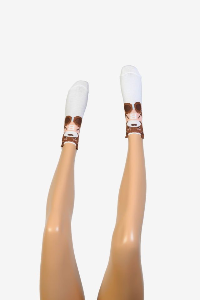 Moda1001 Kadın Kulaklı Patik Çorabı  - Desenli